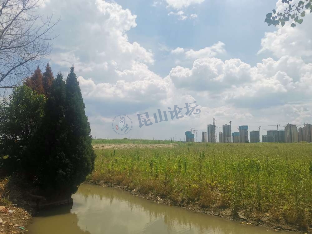 张浦高中什么时候弄好,张浦镇高中在哪里