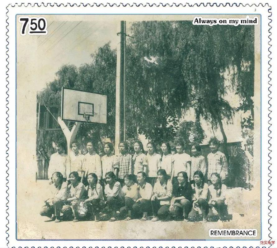 中国篮球的发展史简介,关于中国篮球的介绍