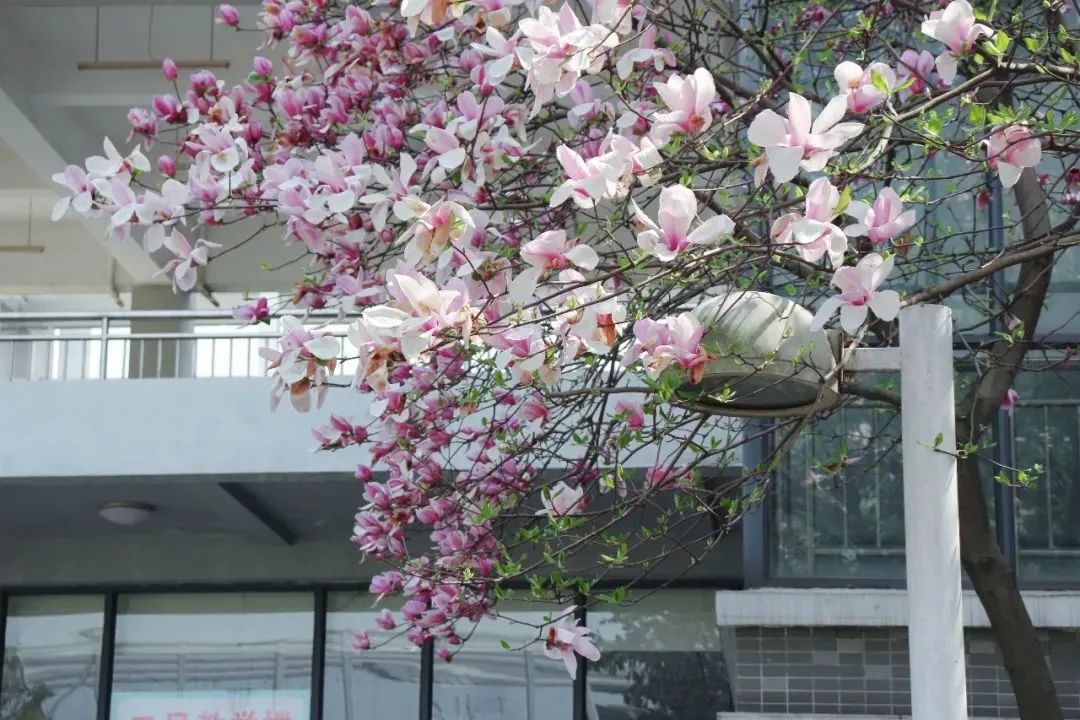 为什么选择华夏理工？十大理由告诉你！