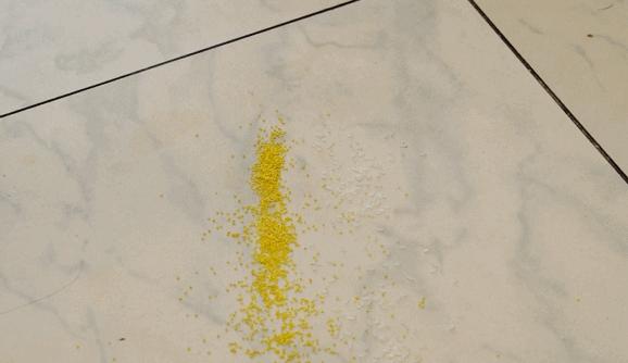 送丈母娘洗地机,送爸妈洗地机