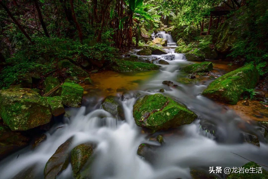 夏天龙岩哪里凉快适合避暑,龙岩新罗区有哪些避暑的好地方