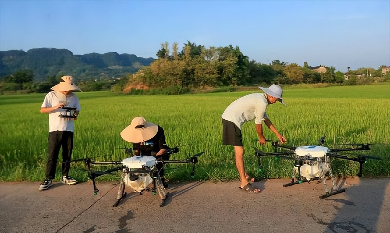 「泸州」江阳区：乡贤农场入选全省典型案例背后的“历程故事”