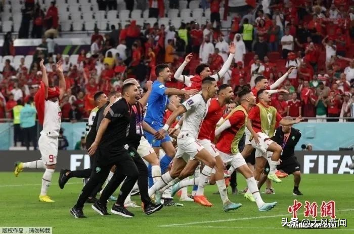 世界杯32强深度分析,世界杯32强分析法国