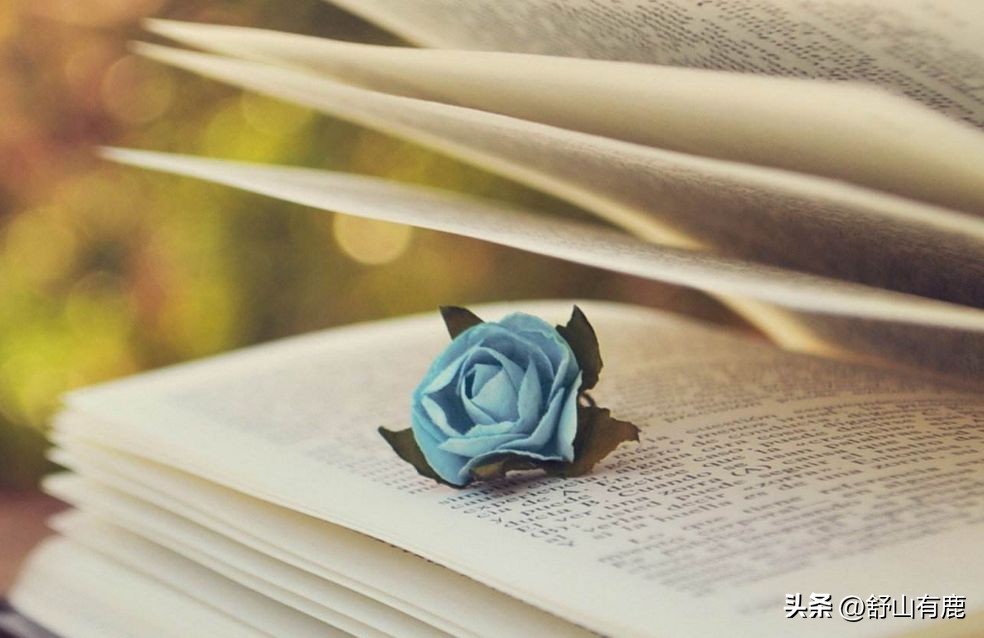 命硬对命硬会怎样,命硬之人生辰如何体现