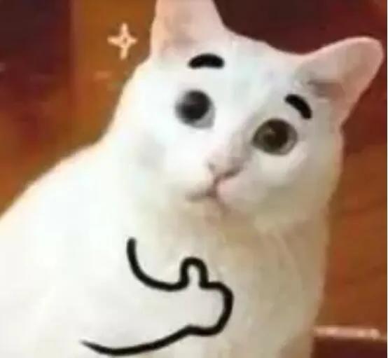 内地散户怎么买港股,内地可以买香港股票吗