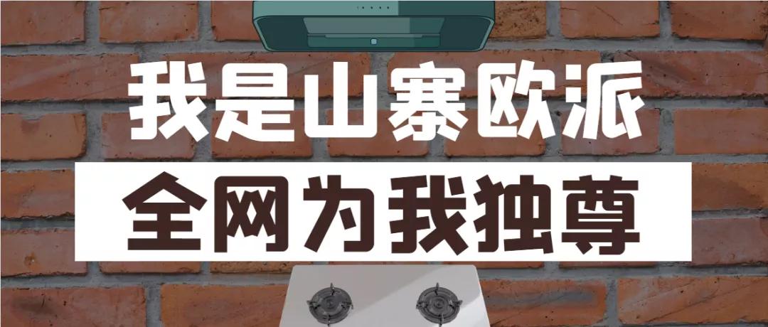 品牌燃气灶双灶销量第一,十大名牌油烟机和燃气灶