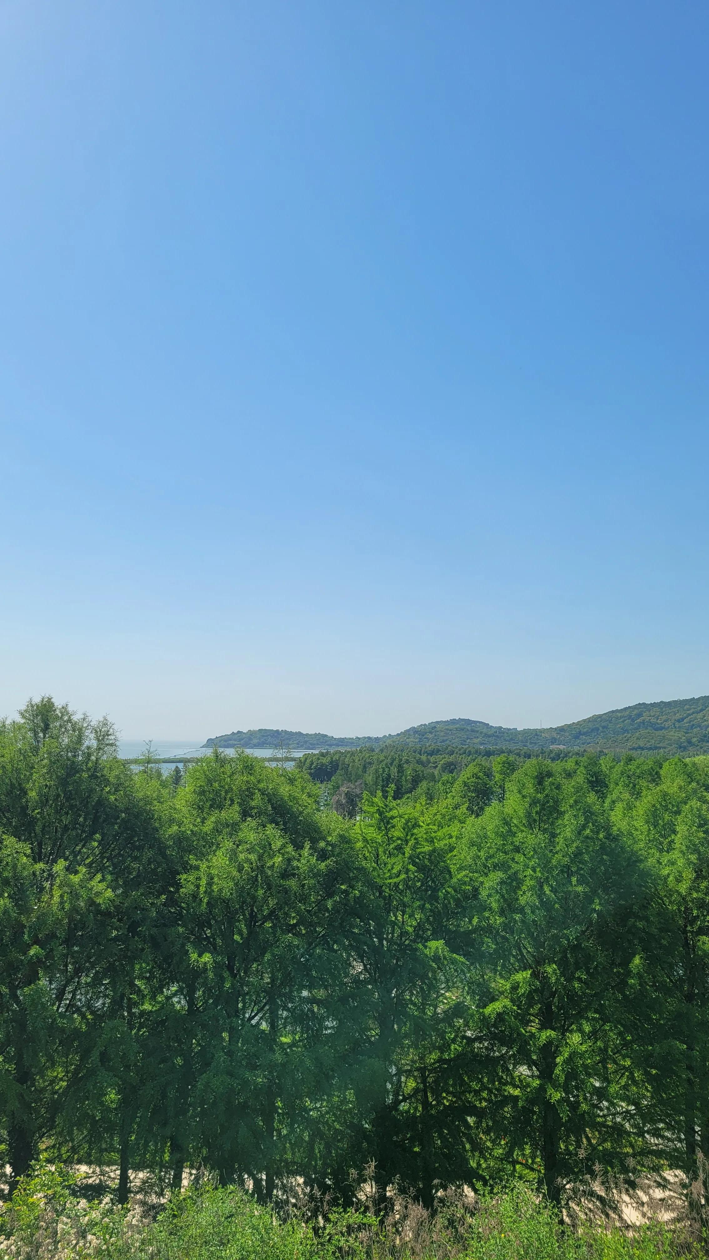 鑻忓窞澶фˉ缇庢櫙,鑻忓窞澶фˉ椋庢櫙