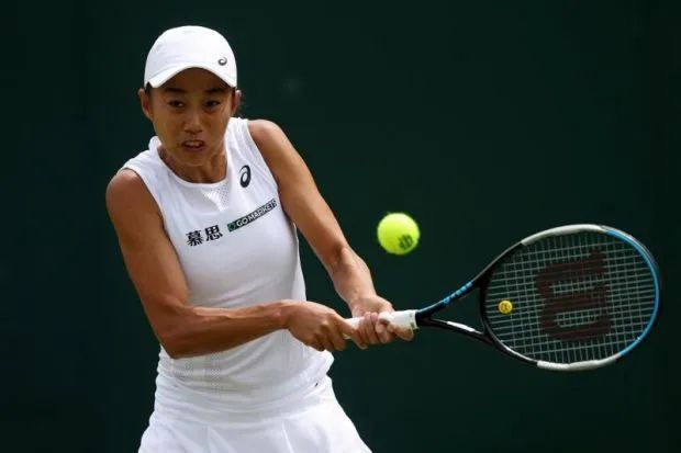 张帅追梦路上,张帅止步女单16强第几名