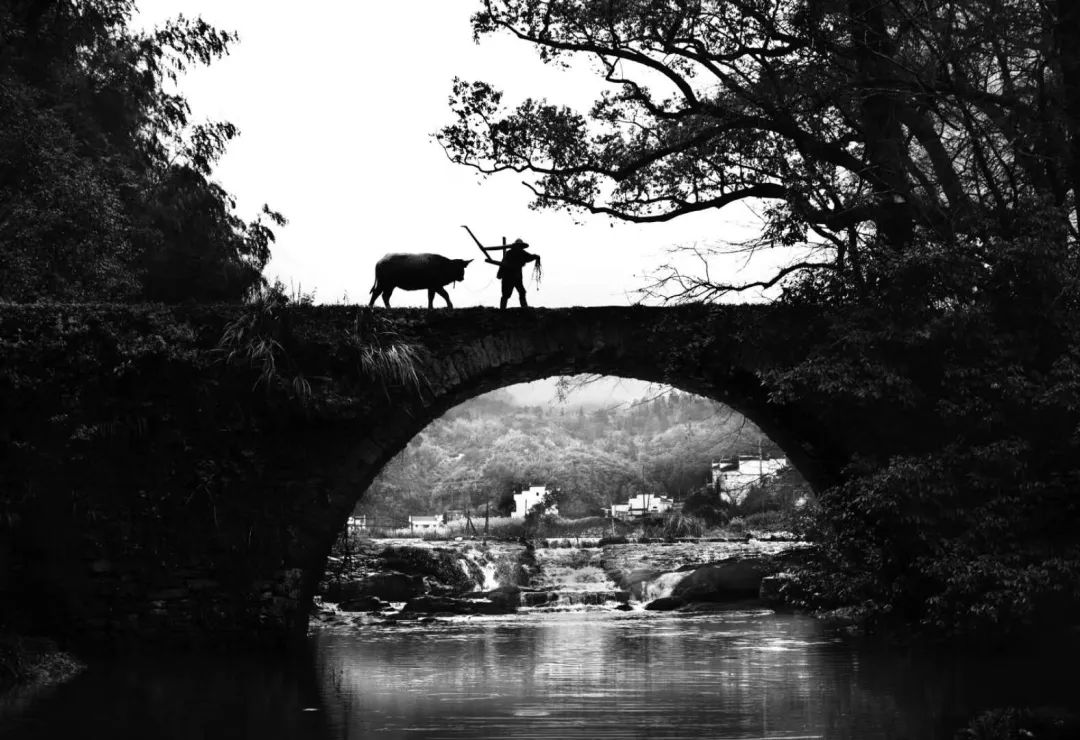 2020梦幻之秋婺源三天摄影创作团,醉美婺源摄影地点推荐