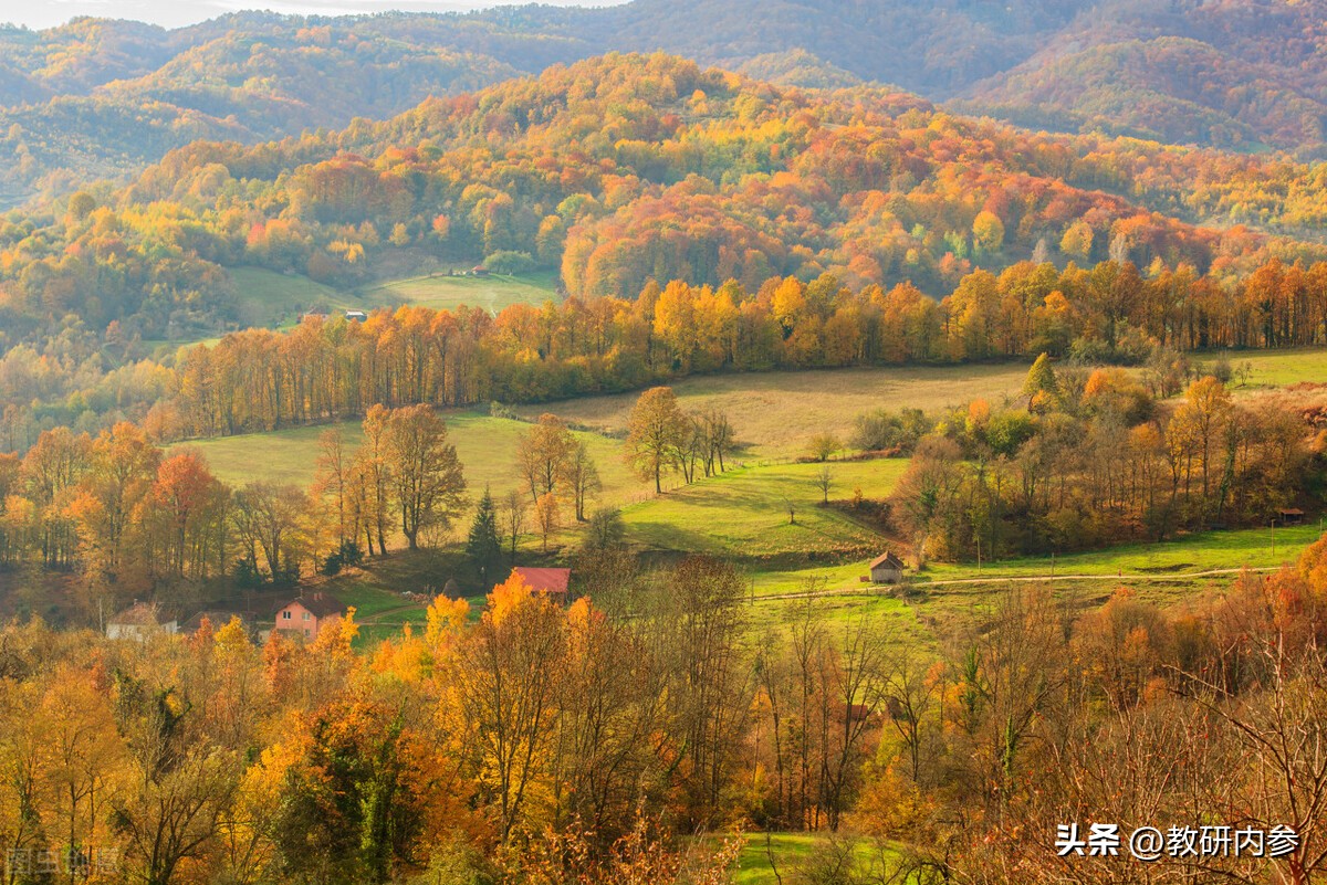 八年级语文试题卷分析,八年级期末语文试卷2021到2022年