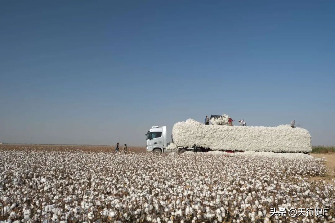 汽车投稿作品欣赏,汽车征文获奖