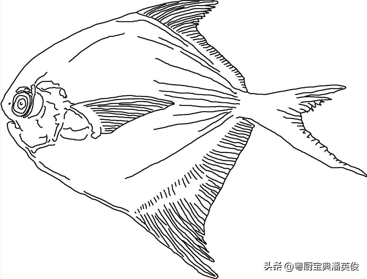 食材知识学习,食材知识视频教程