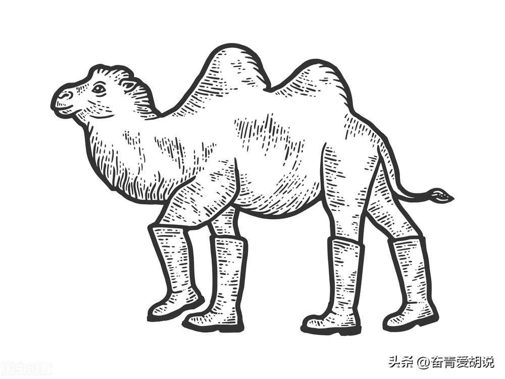 抖音直播间雅诗兰黛为啥这么便宜,你以为直播间东西是真的便宜吗