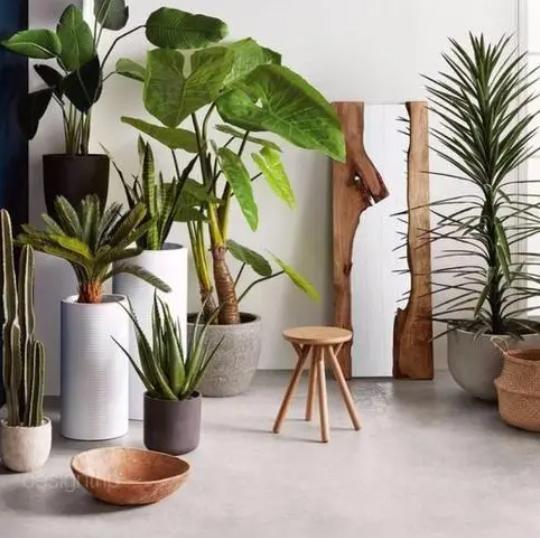 进门见3物子孙一直富,进门见三物儿孙一直富