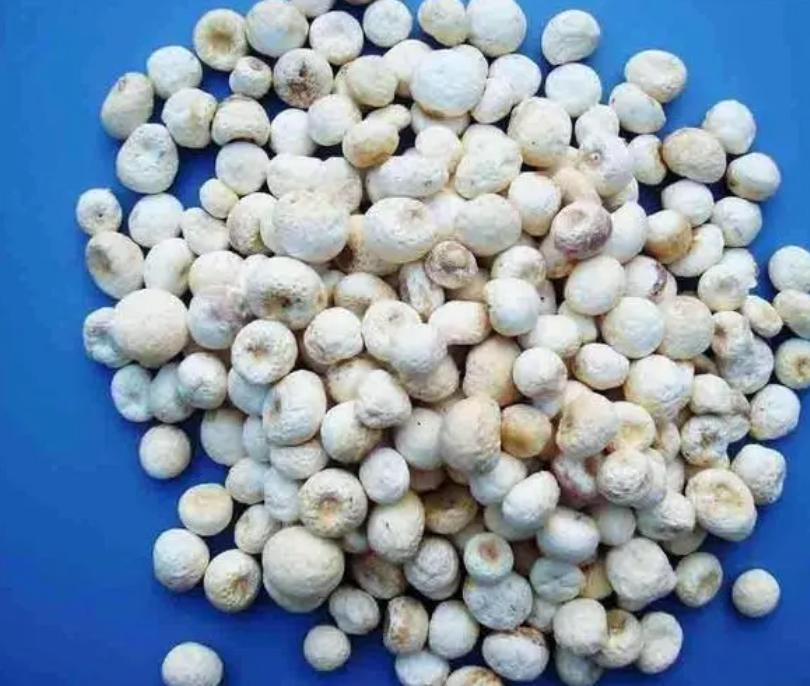 张仲景治疗头晕的中成药,血压偏低头晕的中药方剂