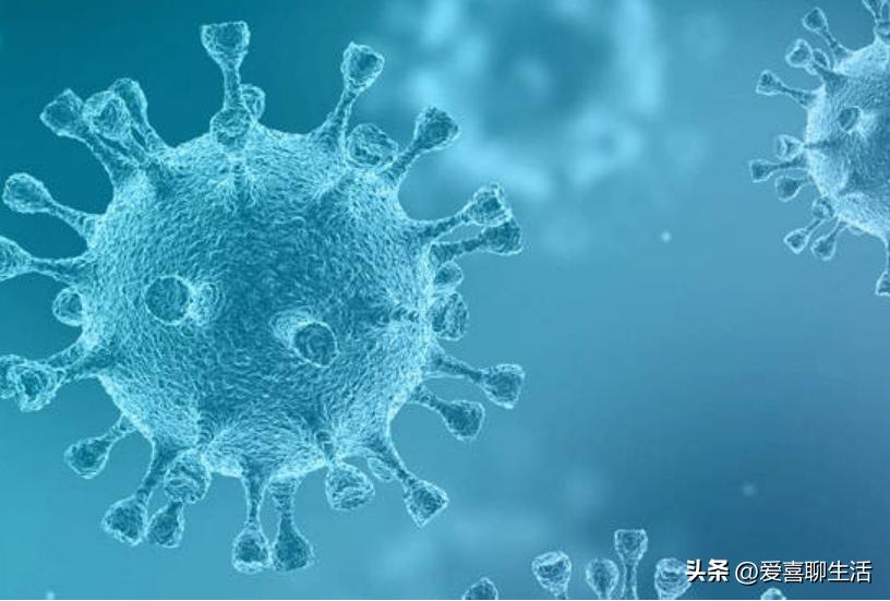 上海女子分享小阳人经历，备齐5类物资，生活不失控，居家有保障