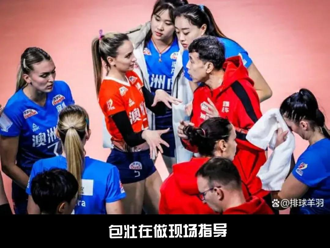 深圳澳洲虎女排成员介绍,深圳澳洲虎女排名单