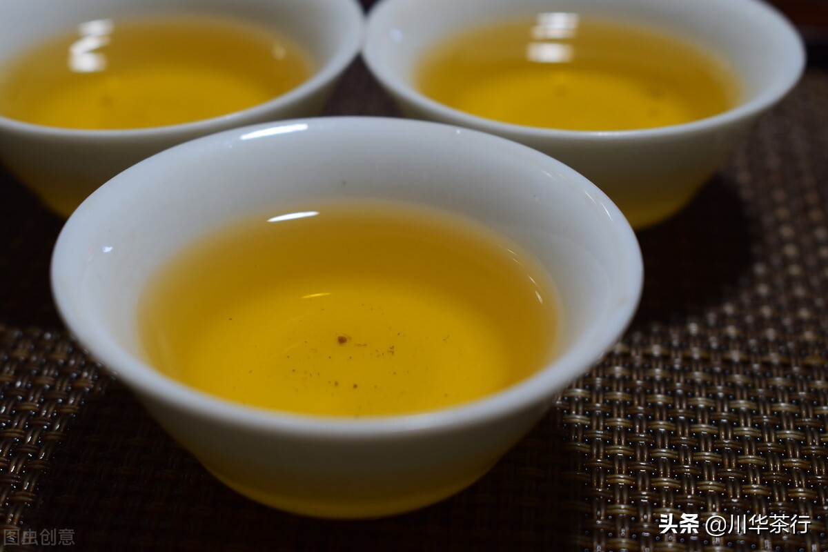 3分钟带你了解凤凰单丛茶,讲凤凰单丛短视频