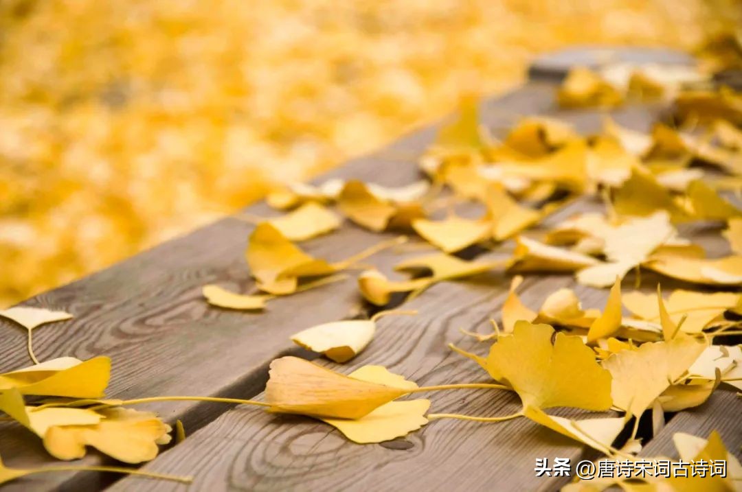 晚秋不晚浅冬不迟的含义,晚秋不晚抖音