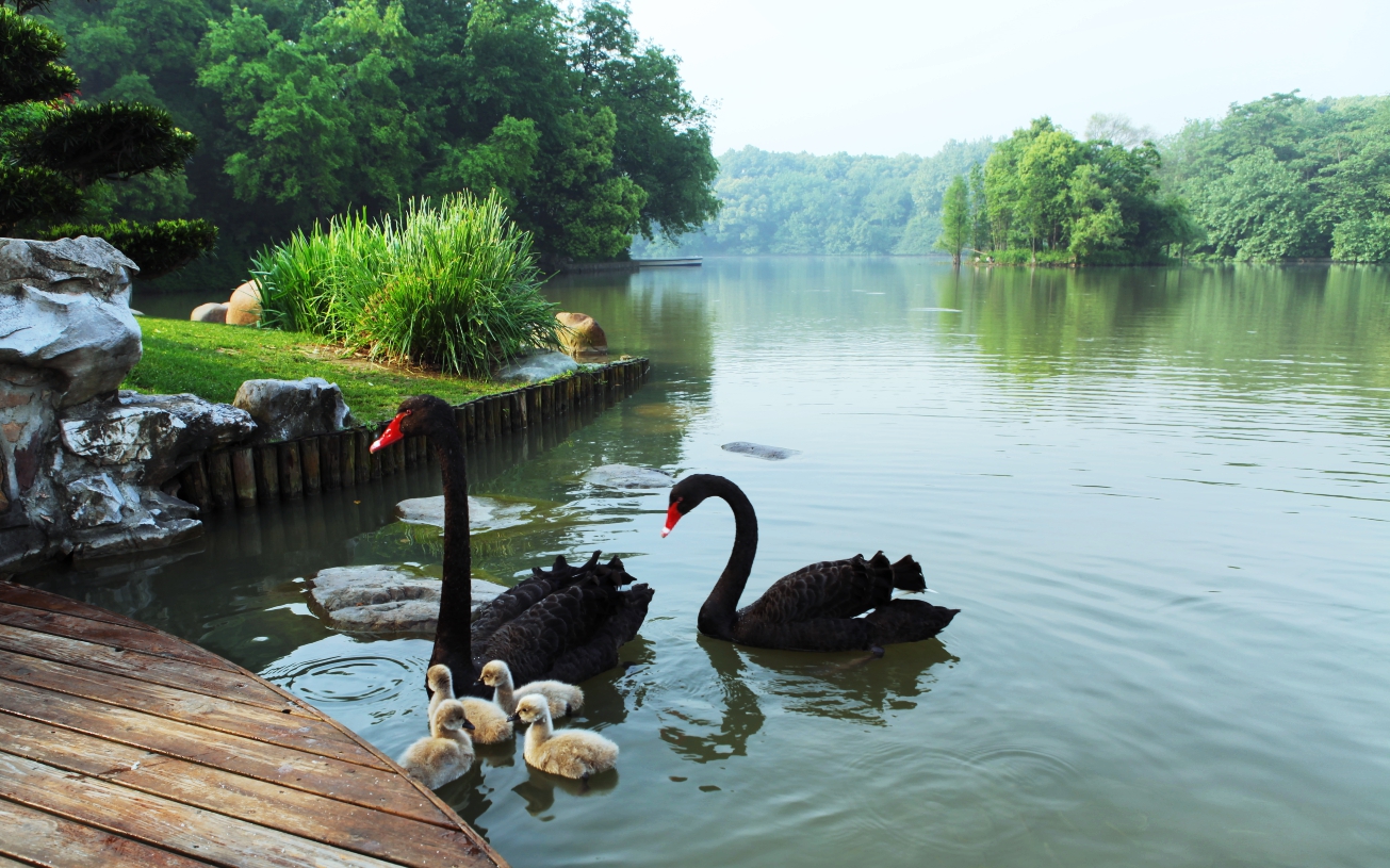 上海西郊宾馆,上海西郊宾馆1921