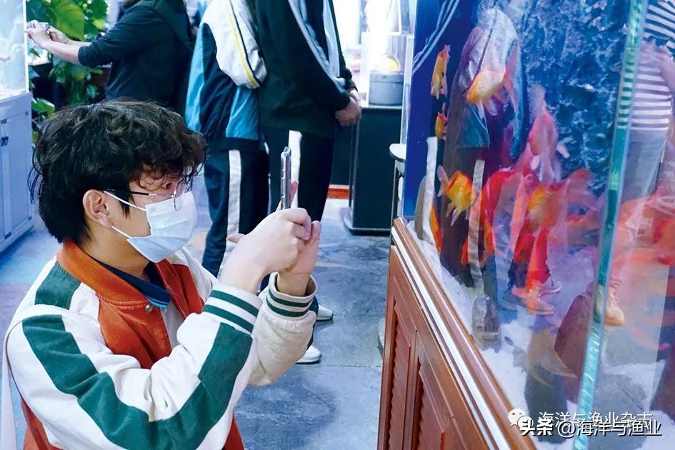 拒绝“躺平”!江门海豚水族:“内外兼修”国内外市场齐耕耘,线上鱼粮销量涨