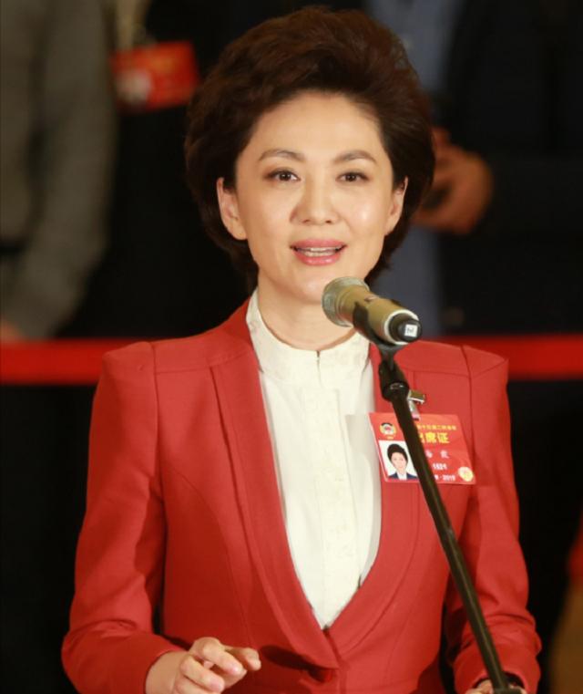 央视女主持海霞嫁大11岁教授,央视女主持海霞现如今过得怎么样