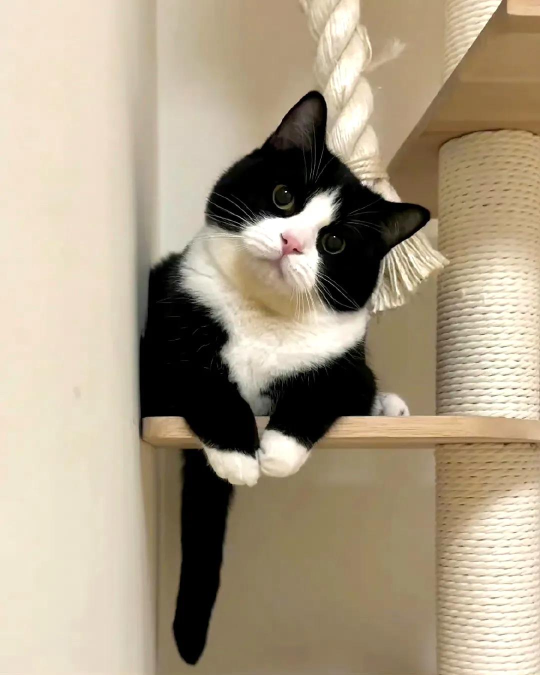 简约朋友圈背景图片大全,简约朋友圈背景图汽车