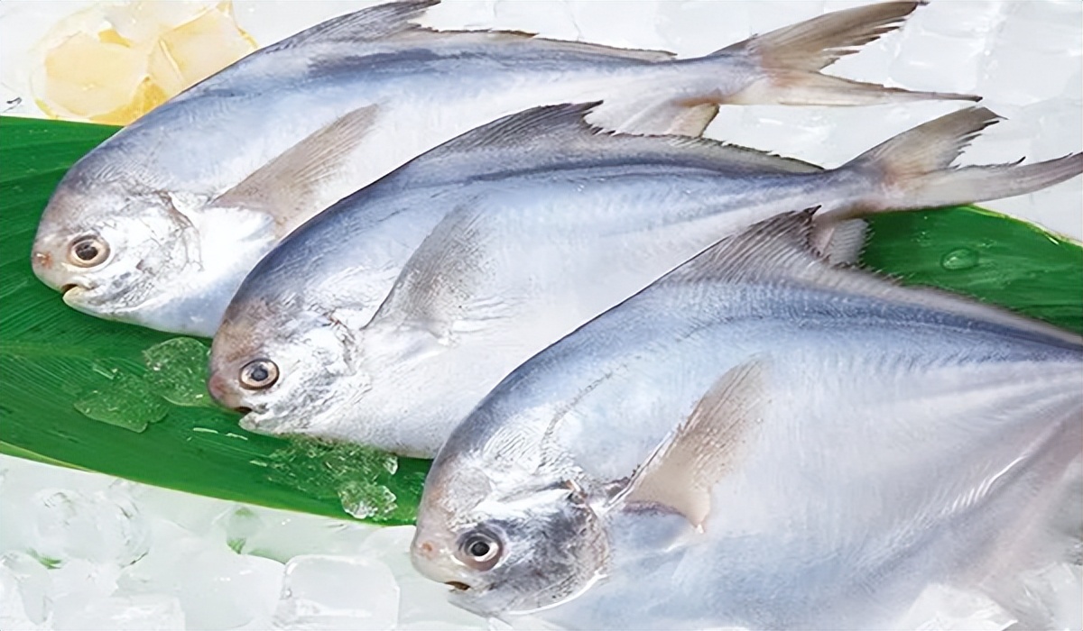 液氮速冻设备都能冻哪些食材,素食液氮速冻机为什么好用