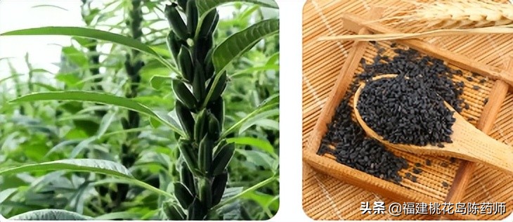 20味补阴中药的药性及功效