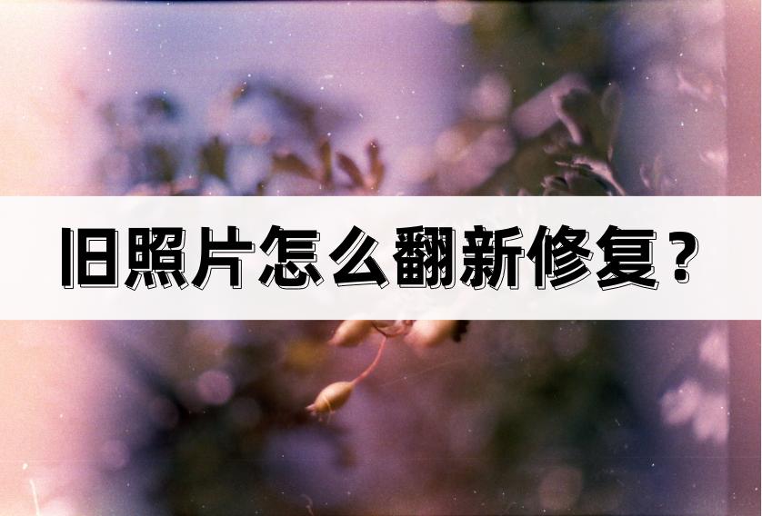 旧照片修复翻新去哪里,旧照片的修复方法