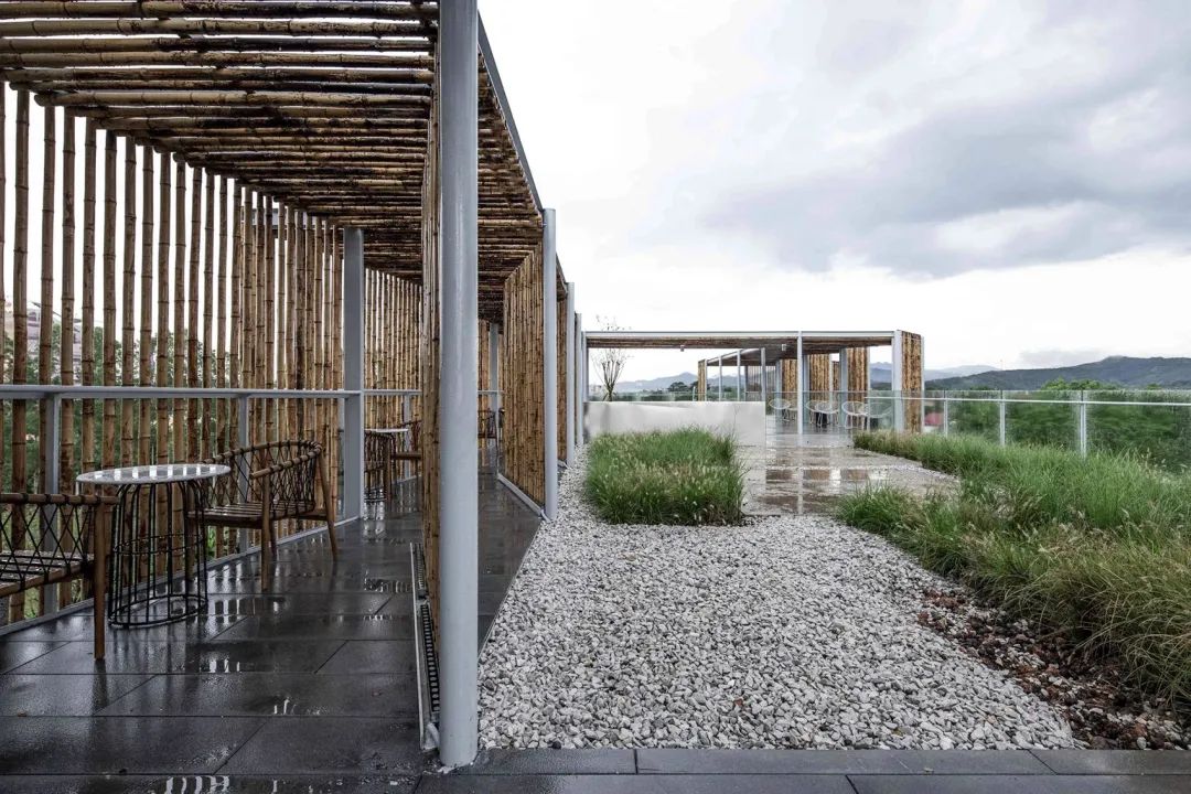 中国茶申遗成功吗,中国茶申遗成功44项名单