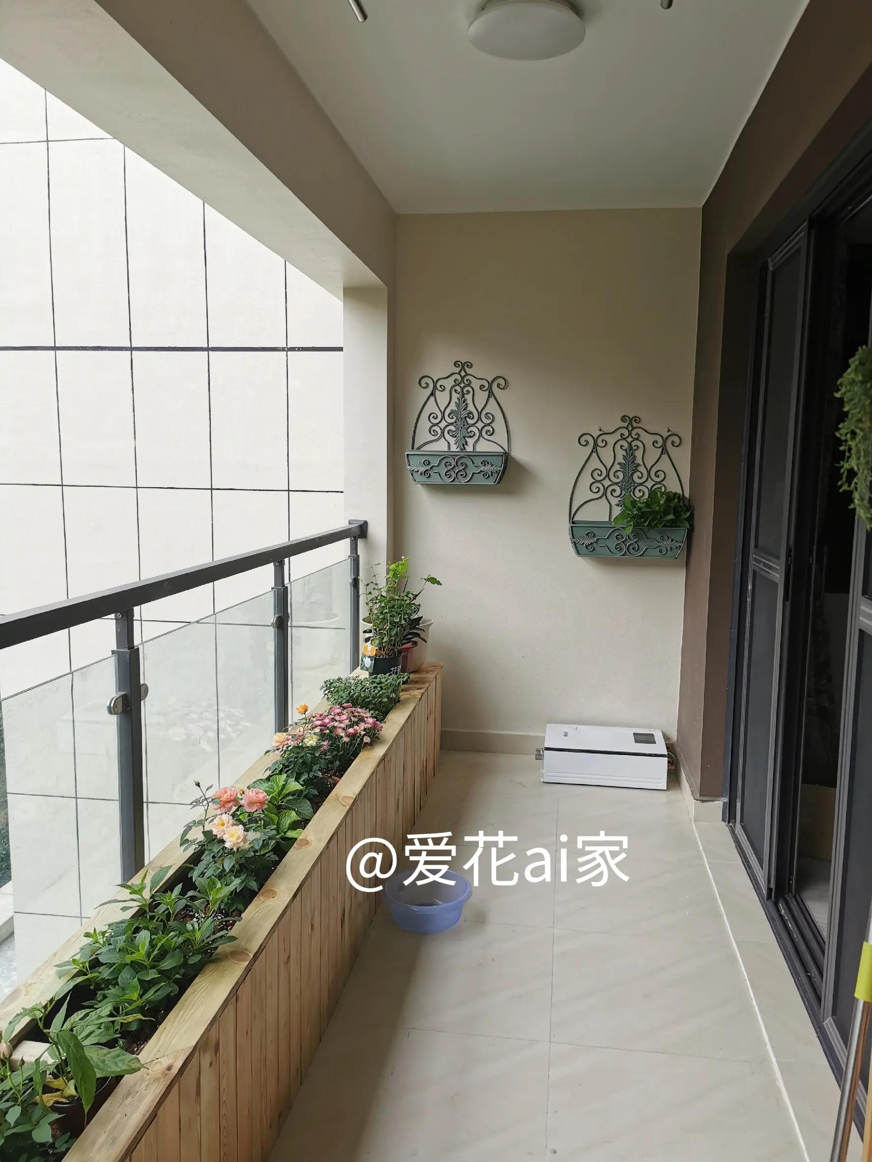 我怀疑这是我老公为了阻止我买花的阴谋