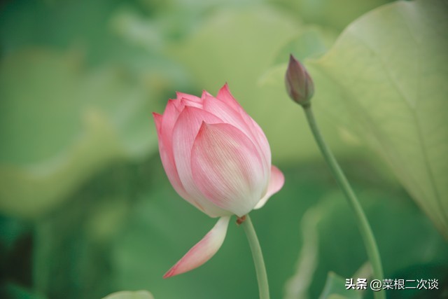 婆婆觉得我家钱是她儿子赚得，用的很心安，我妈却不舍的用我们的