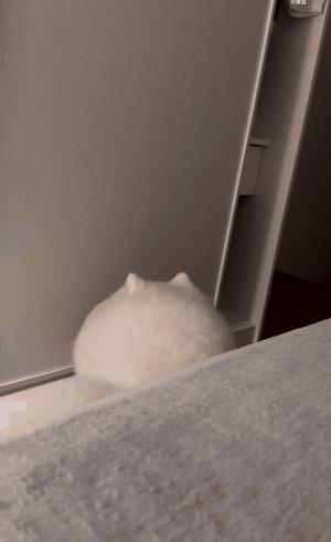 搞笑图片发烧,小女孩gif搞笑动态图片大全