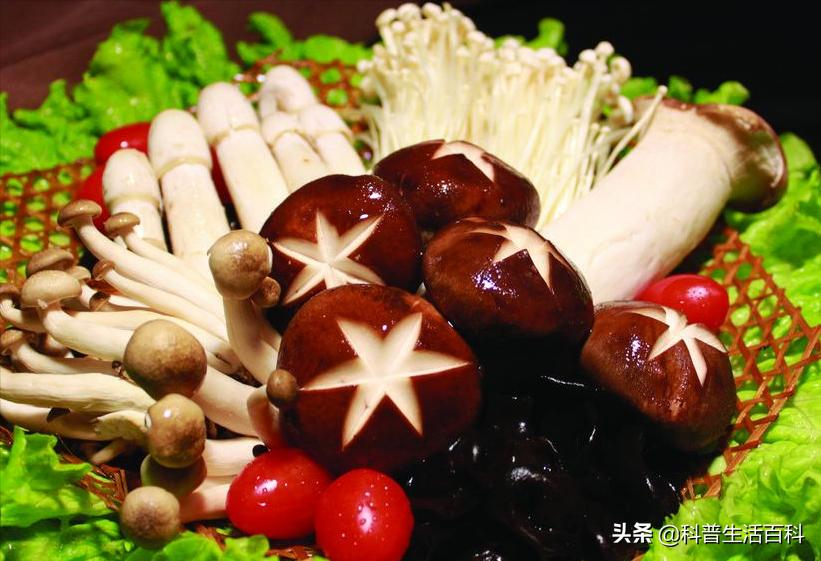 最好吃的几种食物,几种食物助睡眠