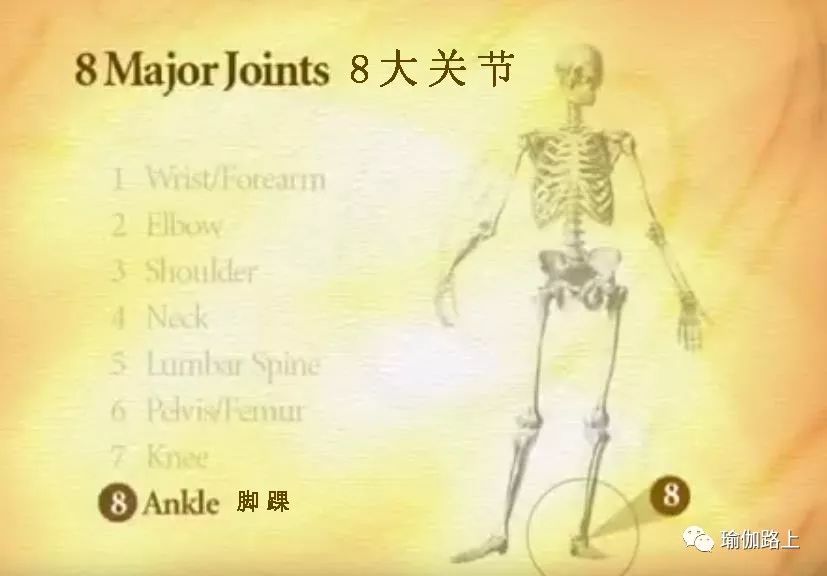 练瑜伽半年怎么走向高阶体式,练瑜伽我们不需要追求高难度体式