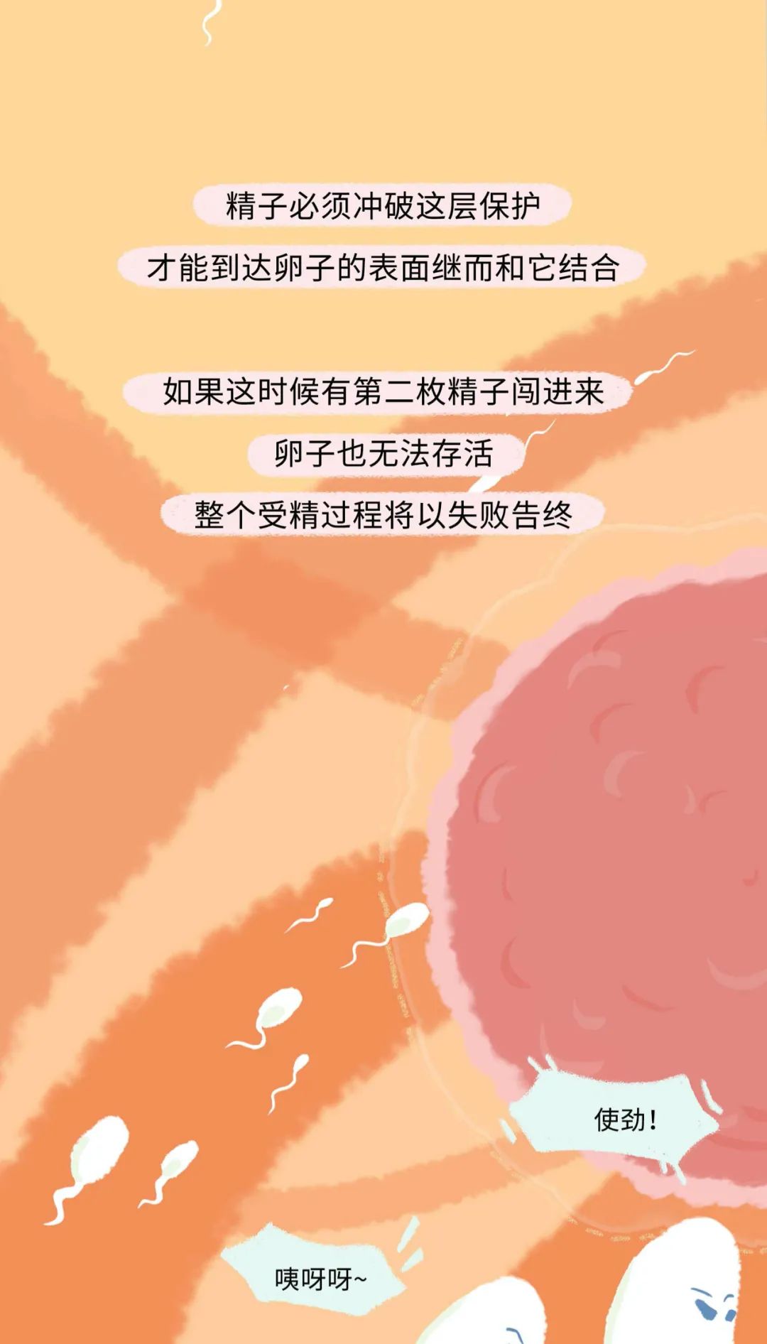 古代女人怀孕了要生宝宝漫画,怀孕的过程讲解漫画