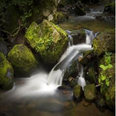 实验小学无纸笔测试,小学低年级无纸笔测试方案