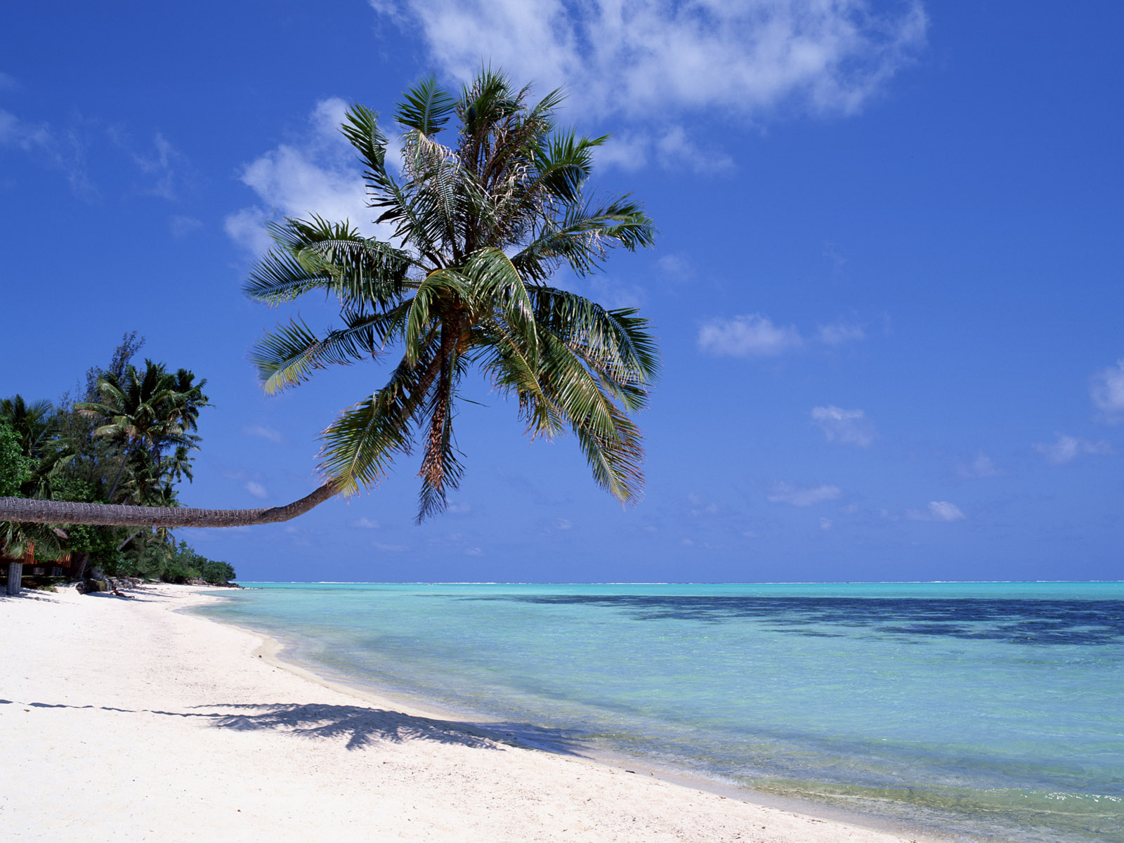 大海海滩美景图片,夏日最漂亮阳光海滩风景图片