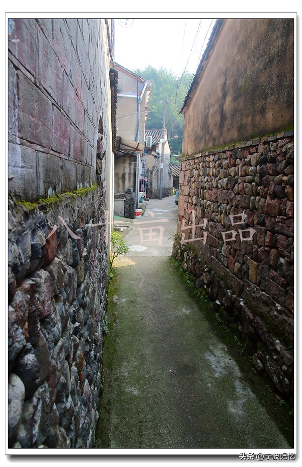 宁波市海曙区龙观乡政府网,宁波市海曙区龙观乡大庄水库