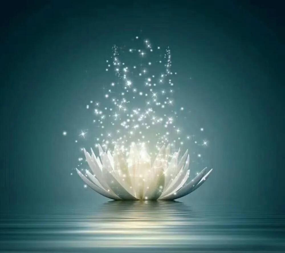 特蕾莎修女对整个世界的慈悲,特蕾莎修女的感人事迹