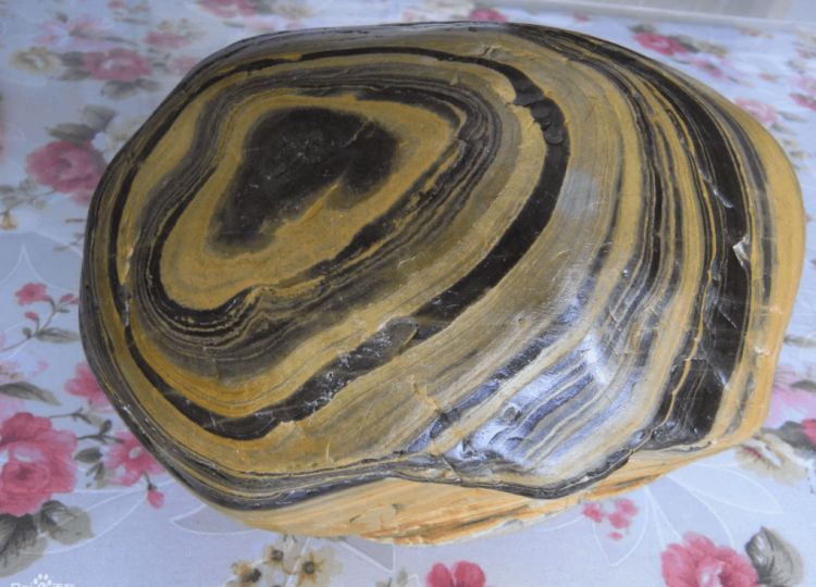 男子在河里捡到天价石头,男子散步捡到一石头价值2100万