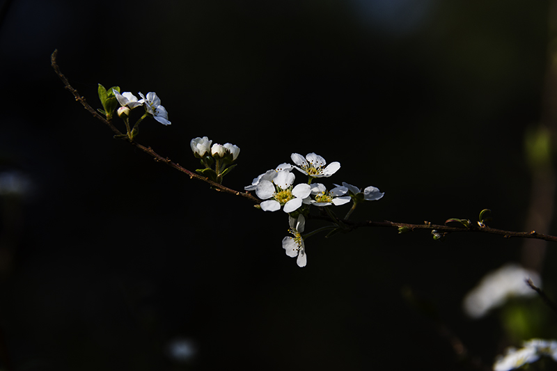 永泰云顶天池,永泰云顶天池门票