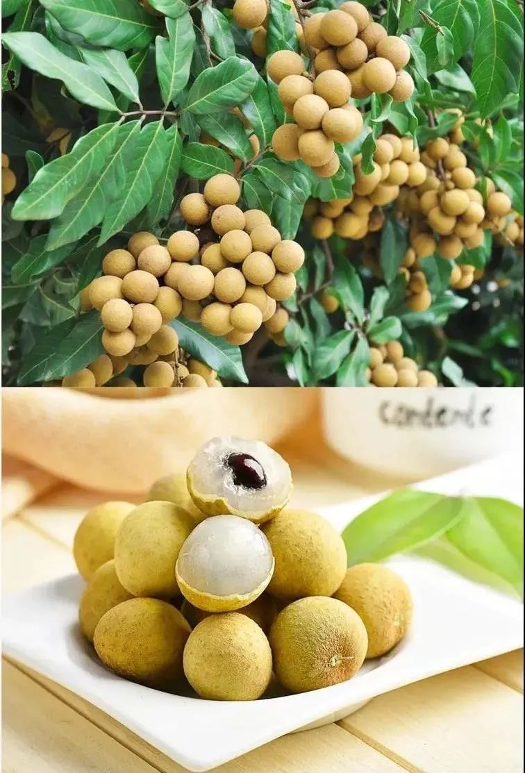 广西博白客家特产小吃图片高清,广西博白小吃都有什么