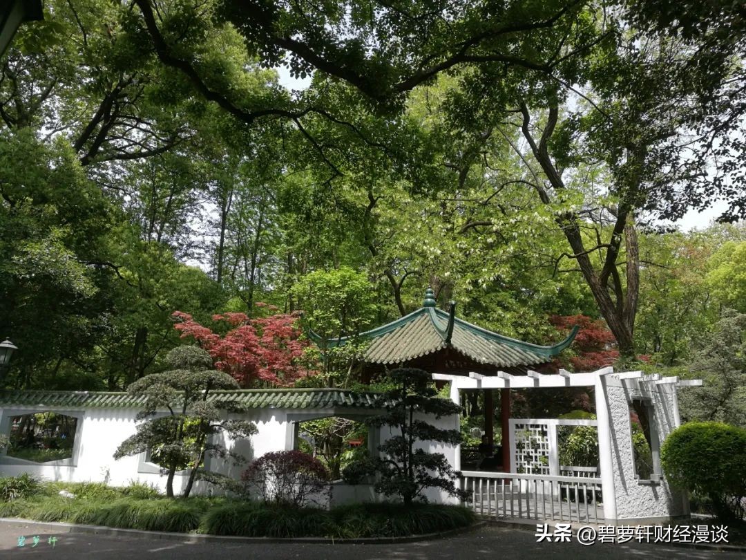 我在上海压马路④中山公园-苏州河华政-愚园路