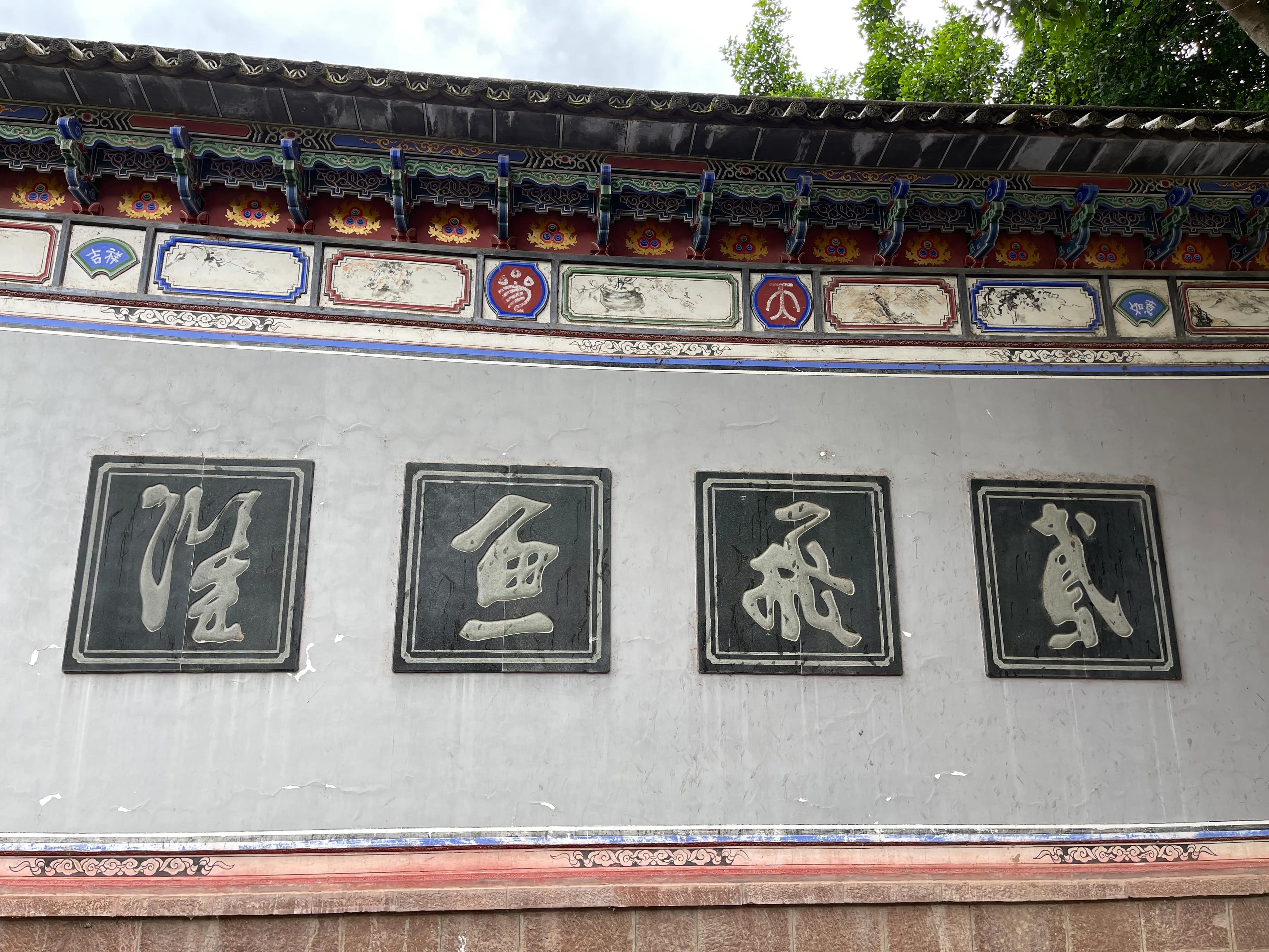 赶赴百草岭迎接夏天