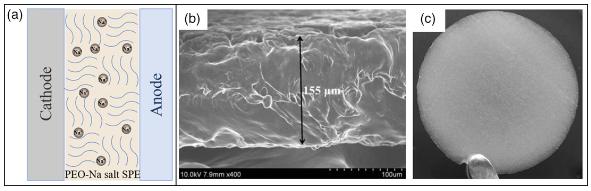 钠离子电池的报道 (钠离子电池机遇与挑战)