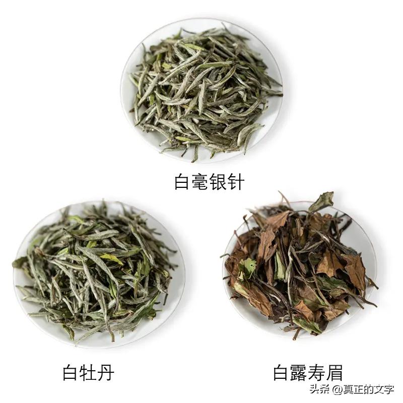 天目湖白茶是绿茶吗,天目湖绿茶白茶怎么泡