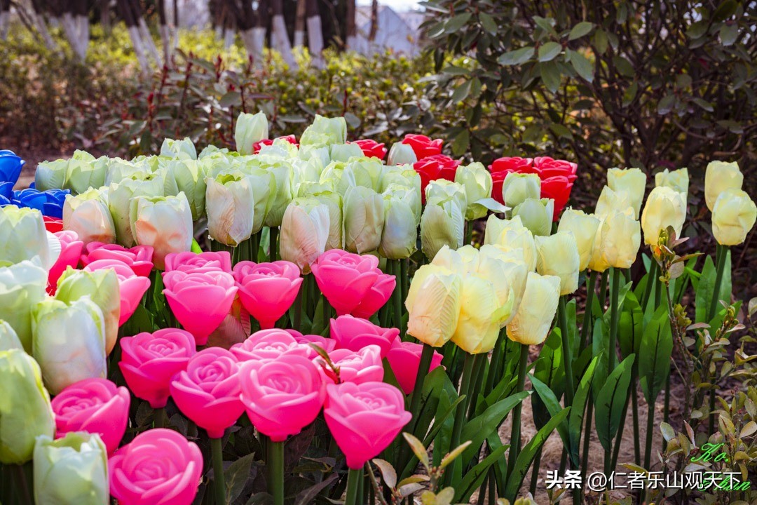 丧家的资本家乏走狗原文,丧家的资本家乏走狗指的是谁