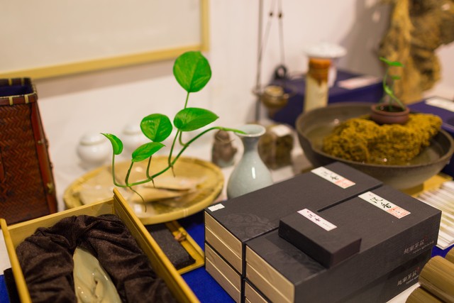 沉香树苗哪里品种最正宗最好,沉香树打孔结香